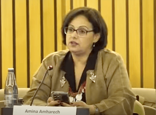UNFSS 2025- Ms. Amina Amharech