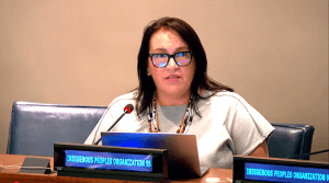 UNPFII Intervention by Jennifer Procter